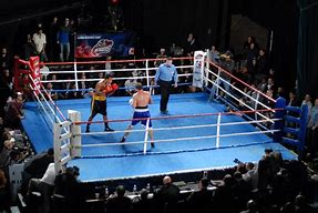Image result for Boxing Punch Bag