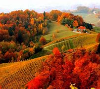 Image result for fall scenery