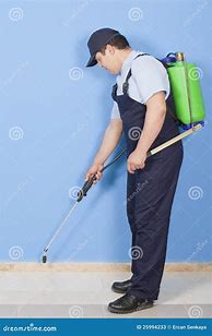 Image result for Pest Control Spraying