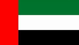 Image result for Arabic Country Flags