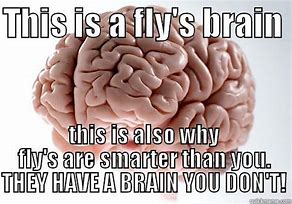 Image result for Smarter Brain Meme