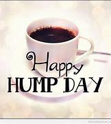 Image result for Hump Day Images