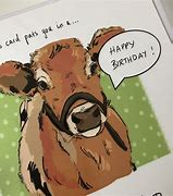 Image result for Funny Cow Happy Birthday