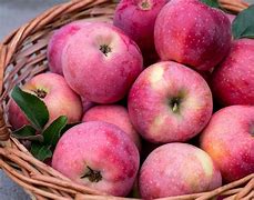 Image result for 6 Apples