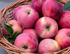 Image result for Photos Apple Pink