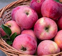 Image result for Large Apple Varieties