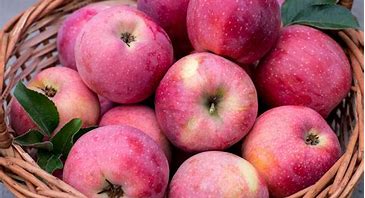 Image result for Soft Apples