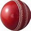 Image result for Cricket