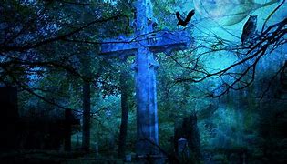 Image result for Gothic Forest