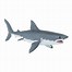 Image result for Sharks and Co Toys