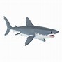 Image result for Safari LTD Great White Shark