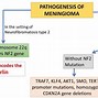 Image result for Meningioma Histology