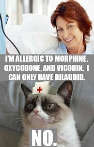 Image result for Nursing Cat Meme