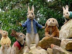 Image result for Rabbit Actors