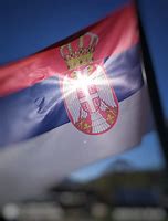 Image result for White House Serbian Flag