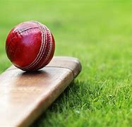 Image result for Cricket Lover Wallpaper