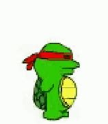 Image result for Dancing Turtle Meme