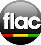 Image result for FLAC File:Logo