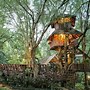 Image result for Chiang Mai Treehouse