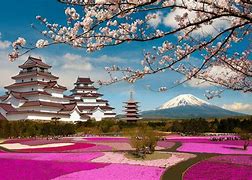 Image result for Fuji Wallpaper