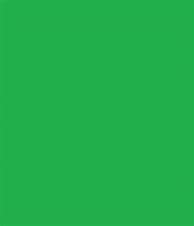 Image result for Colors That Suits Light Green Paper