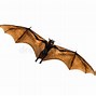 Image result for Really Scary Bats