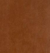 Image result for Saddle Leather Texture