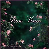 Image result for Rose Vines Plants