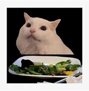 Image result for Cat Table Meme