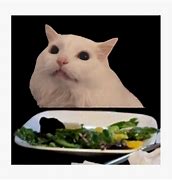 Image result for White Cat Table Meme
