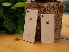 Image result for iPhone 7 Plus Rose Gold vs Ipone 8 Plus