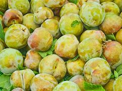 Image result for What Are Pluots Fruit