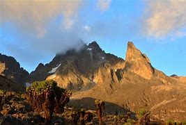 Image result for Mount Kenya Safari
