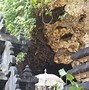 Image result for Bali Vacation