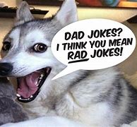 Image result for Dad Jokes That Are Actually Funny Memes