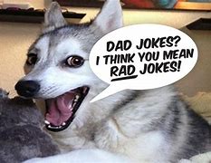 Image result for Funny Dad Jokes Memes