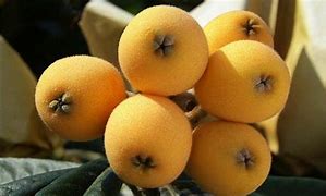 Image result for Fruit That Looks Like Apple Australia