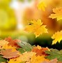 Image result for Autumn Abstract