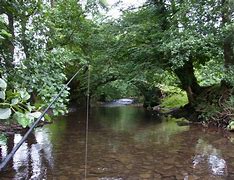 Image result for Honddu River