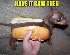 Image result for Raw Dog Meme