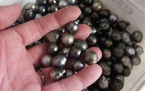 Image result for Black Pearl Size