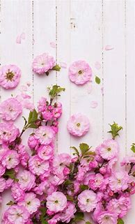 Image result for Floral Pink iPhone Wallpaper