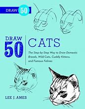 Image result for Cat Art Book