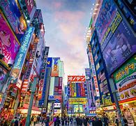 Image result for Japan Store