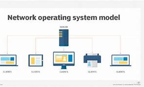 Image result for Local Operating System