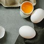 Image result for Rotten Egg Smell in Water