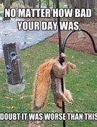 Image result for Funny Pictures of a Really Bad Day