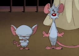 Image result for Pinky and the Brain Thinking