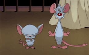 Image result for Evil Meme Pinky and the Brain