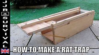 Image result for Homemade Rat Trap